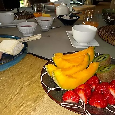 Les Agapanthes Bed & Breakfast Camphin-en-Pevele